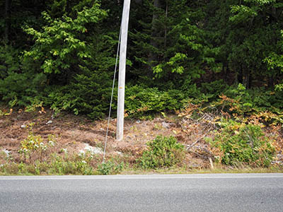 Utility pole #111, on the east side of the highway