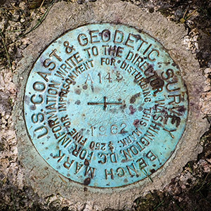 NGS Bench Mark Disk A 145