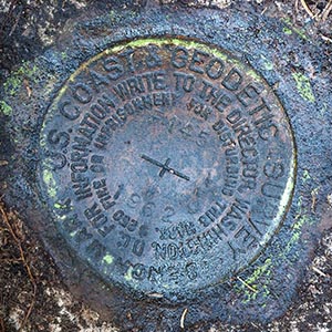 NGS Bench Mark Disk F 145