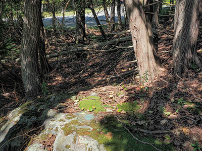 Eyelevel view of the disk on the outcrop