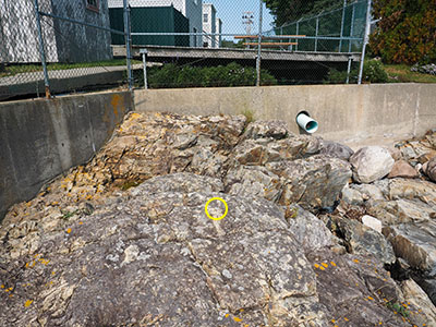 Drill hole indicated; looking N toward TIDAL 6 (located in the corner of the seawall)