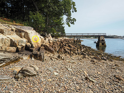 Looking E toward a small pier