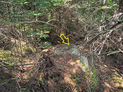 Eyelevel view of the disk on the boulder