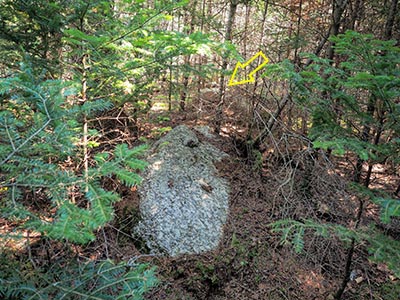 Looking E toward RM 1. This “reference boulder” is obvious once you step into the woods; RM 1's boulder is indicated just beyond.