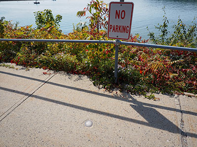 Eyelevel view of the disk on the sidewalk