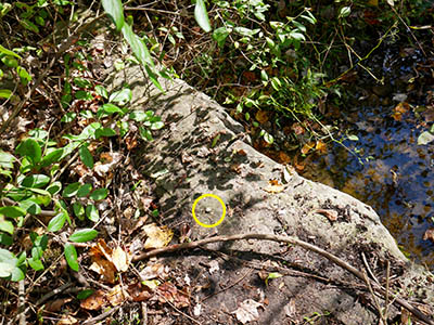 The rivet is hard to spot, even when the top of the culvert is cleared off.