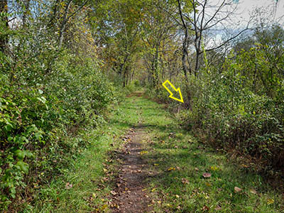 Looking E from Lehr Lane entrance to railbed. Location of culvert indicated.