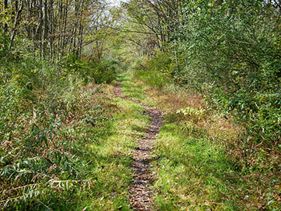 Walking west on the old railbed