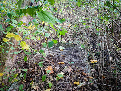 The bridge was heavily overgrown, but I think I managed to clear it off well enough to spot a rivet.