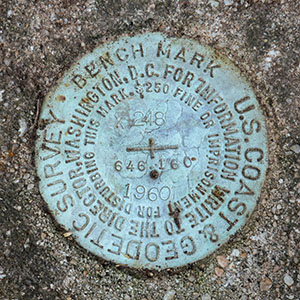 NGS Bench Mark Disk X 248