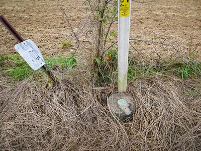 Eyelevel view of the disk on the monument; old county line sign to left