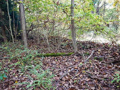 Looking W toward the road. Wooden beam and stone fenceline in view.