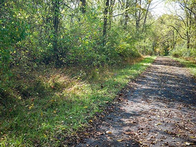 Looking NE along the old road. The mark is off to the left somwehere!