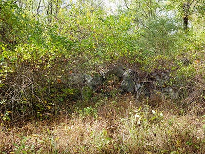 One of several old walls or foundations near the site