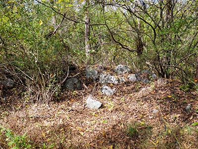 One of several old walls or foundations near the site