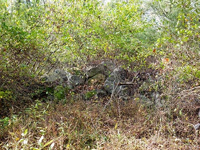 One of several old walls or foundations near the site