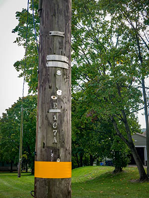 Current numbers on the utility pole adjacent to the monument