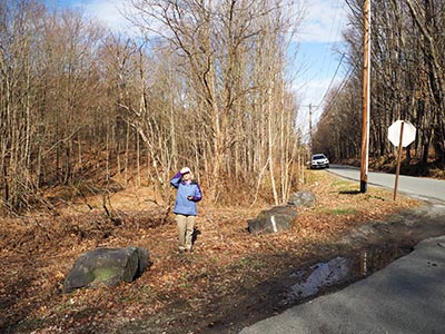 Looking NNW toward Ackerly Road