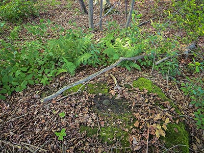 Eyelevel view of the disk on the boulder