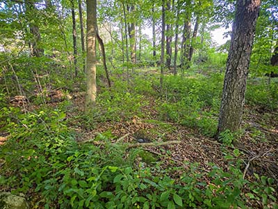 Looking SE toward the mark and general location where the RM should have been