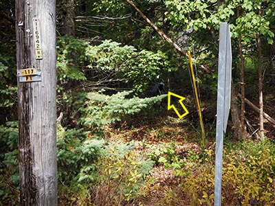 Looking NE from the intersection, showing pole and guy wires.