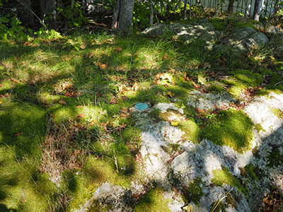 Eyelevel view of the disk on the outcrop