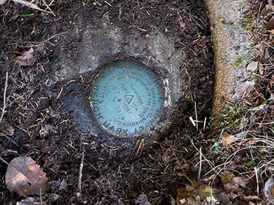 The mark is very close to a thick root.