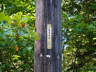 We were searching near this pole.