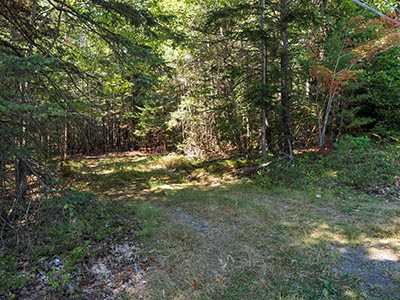 There is a convenient place to pull off the road nearby.