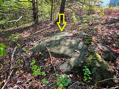 Eyelevel view of the outcrop and disk