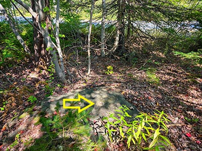 Looking NE toward Tremont Road (ME Route 102)