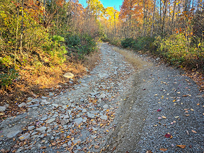 Climbing the steep hill east from Ore Mine Road
