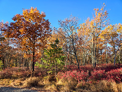 ... as I near the ridge.