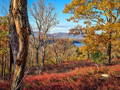 The lake is visible from the ridge.