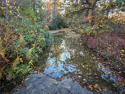 There are still some wet spots from the recent rain.