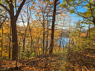 A cluttered view from the old overlook