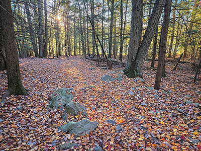 Descending the final hill