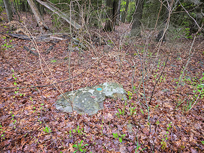 Eyelevel view of the disk on the boulder