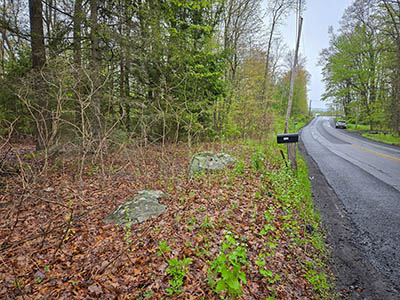 Looking N along South Main Road