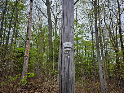 Utility pole south of the mark