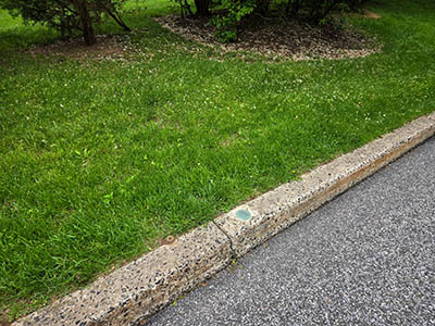 Eyelevel view of the disk in the curb