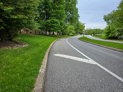 Looking NW along Chesterbrook Boulevard