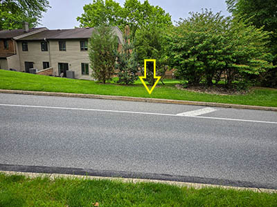 Looking SW across Chesterbrook Boulevard