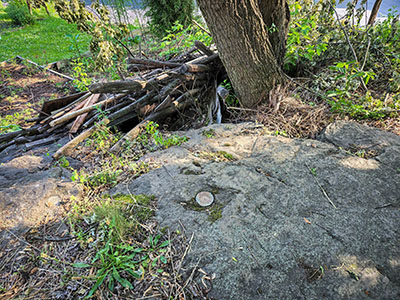 Eyelevel view of the disk on the outcropping ledge